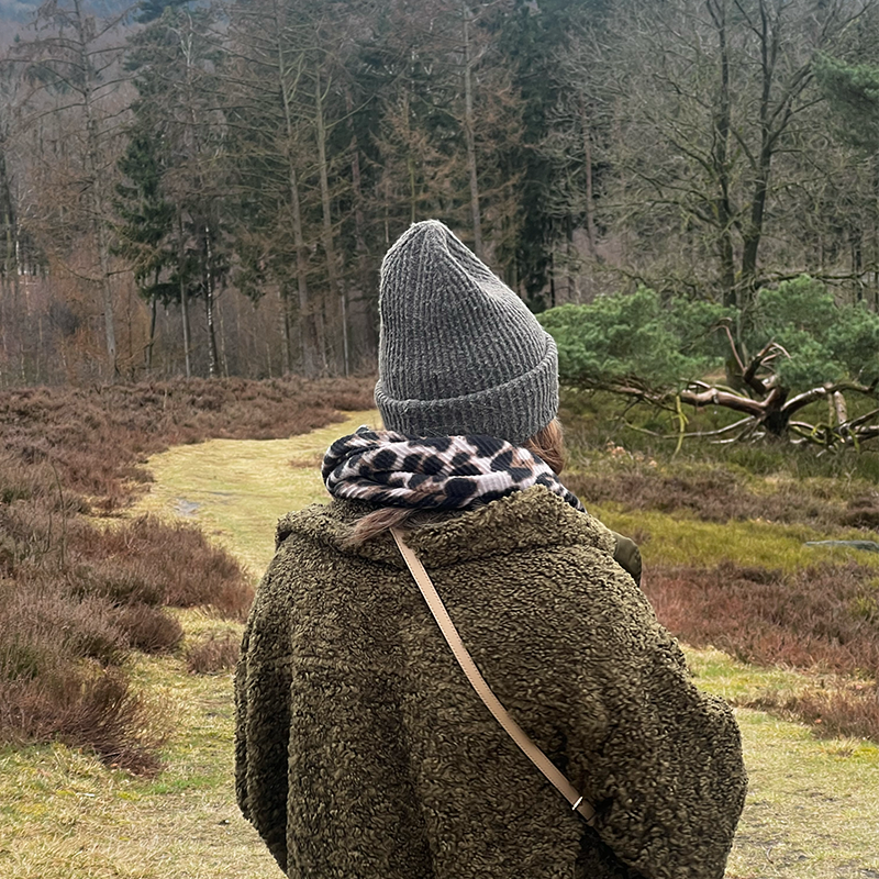 A walk through a woodland landscape