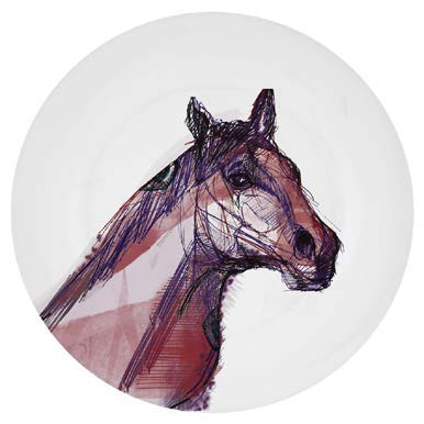 Horse study drawing